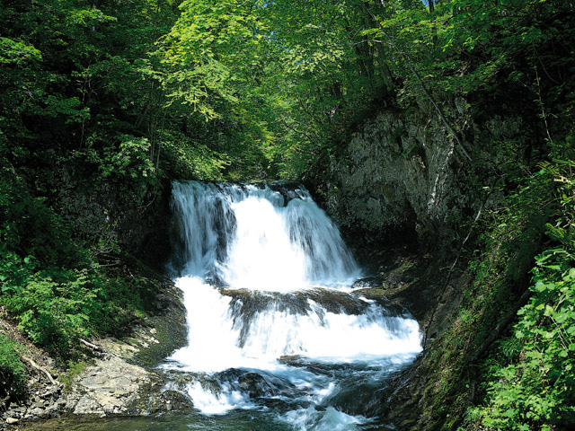 石鎚山系の水