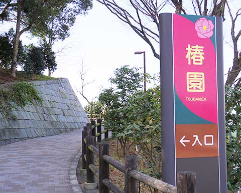 松山総合公園　椿園　入口