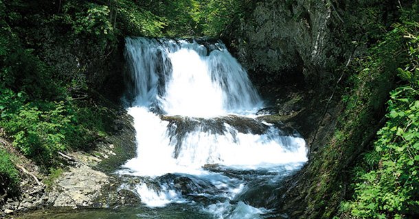 石鎚山系の水