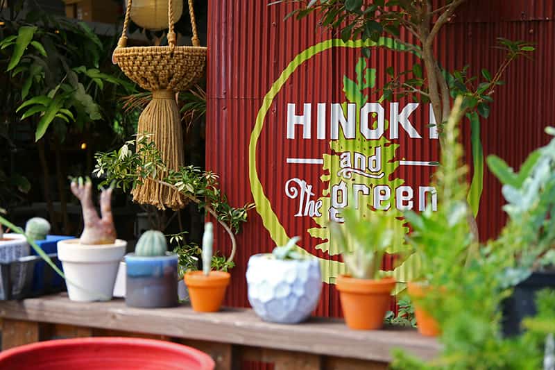 HINOKI and the green