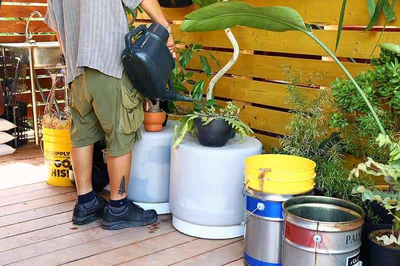 植物への水やり